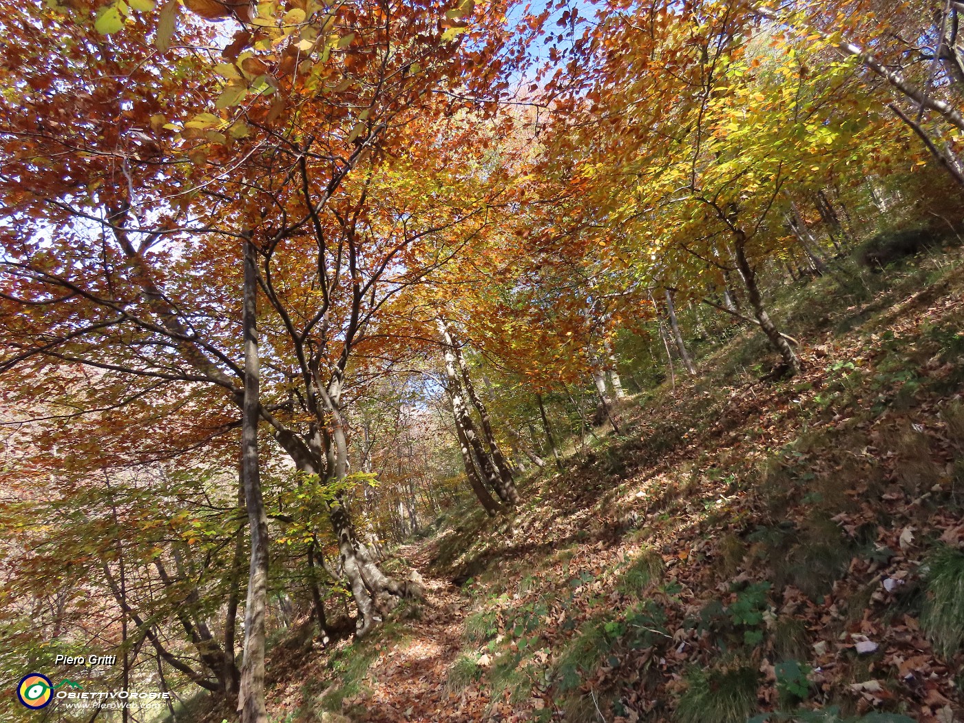 06 Sul sent. 234 colorato d'autunno.JPG